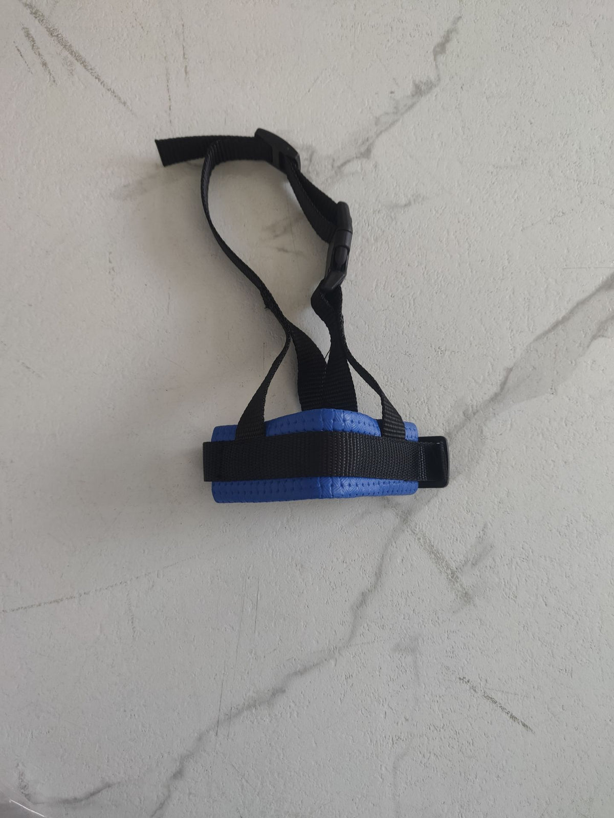 Padded Nylon Dog Muzzle in Blue