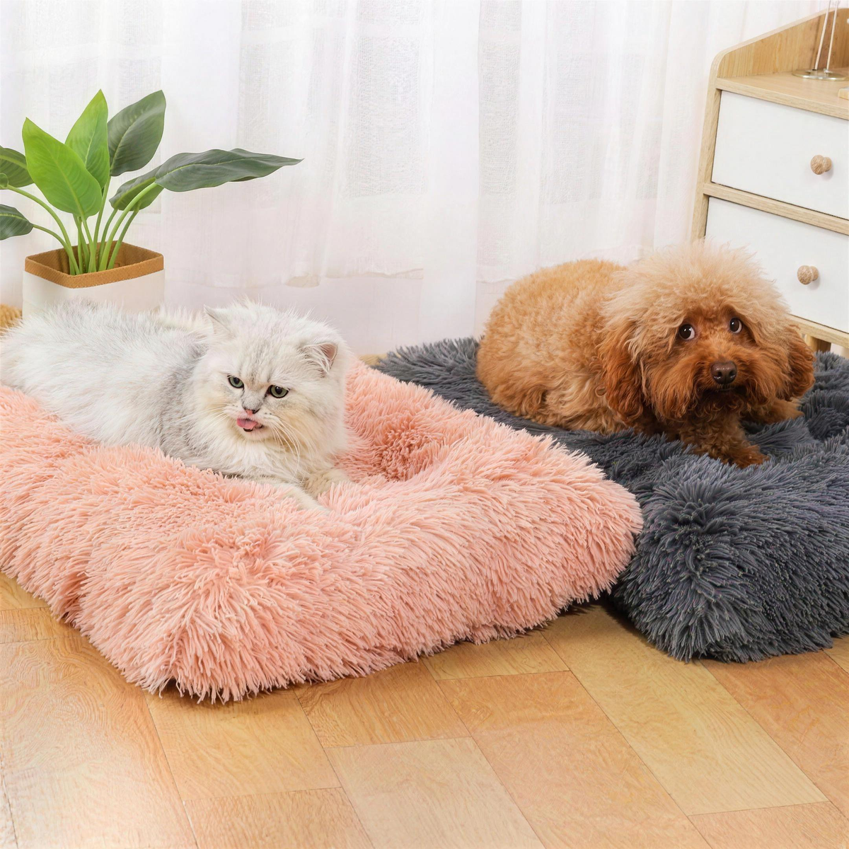 Shag Plush Crate Pad for Dogs & Cats shown in a home setting