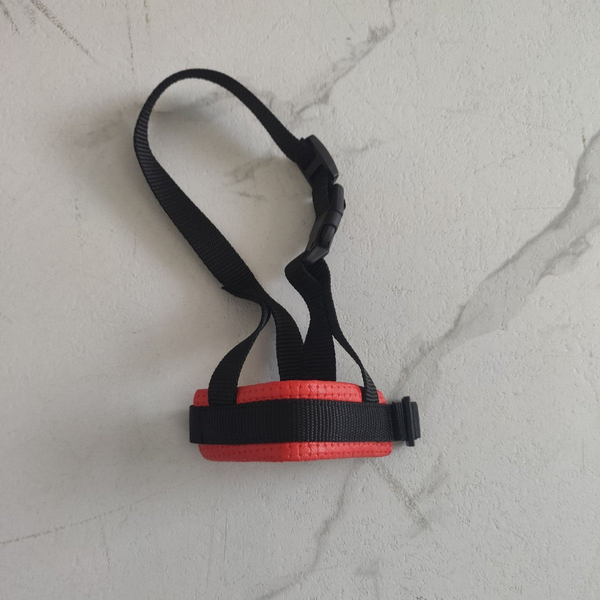 Padded Nylon Dog Muzzle shown in a home setting (view 2)