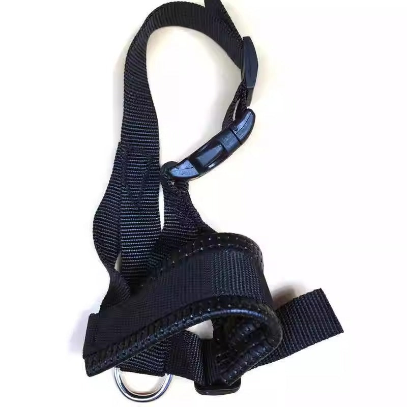 Padded Nylon Dog Muzzle shown on a plain background (view 3)