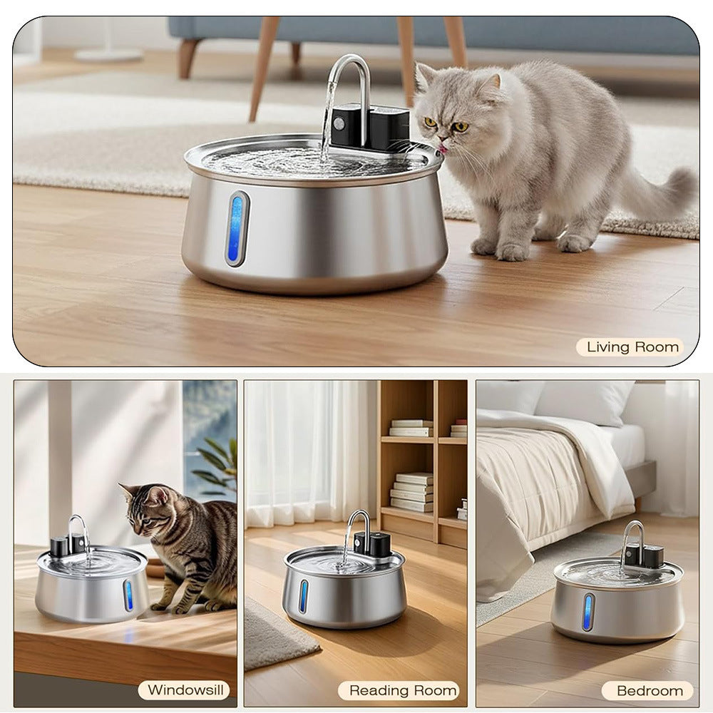 The fountain in four rooms of a home: a living room with a cat drinking, a windowsill, a reading room and a bedroom