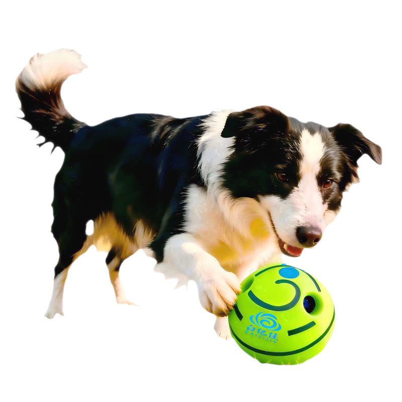 Giggle Sound Ball for Dogs shown on a plain background