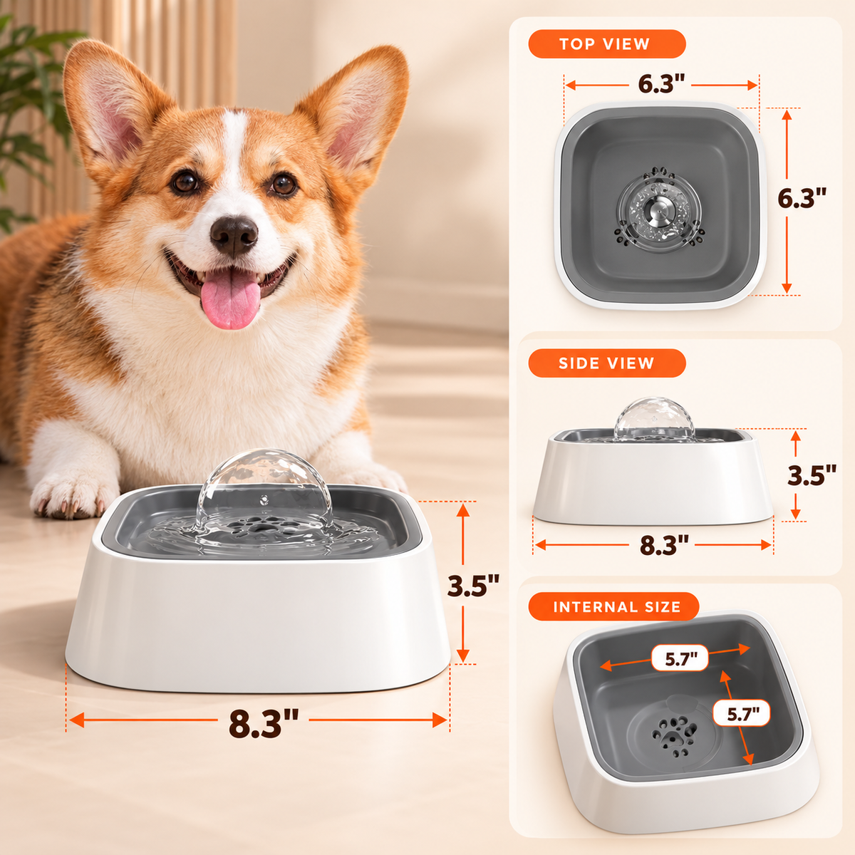 Top, side and internal dimension views of the bowl, with a corgi