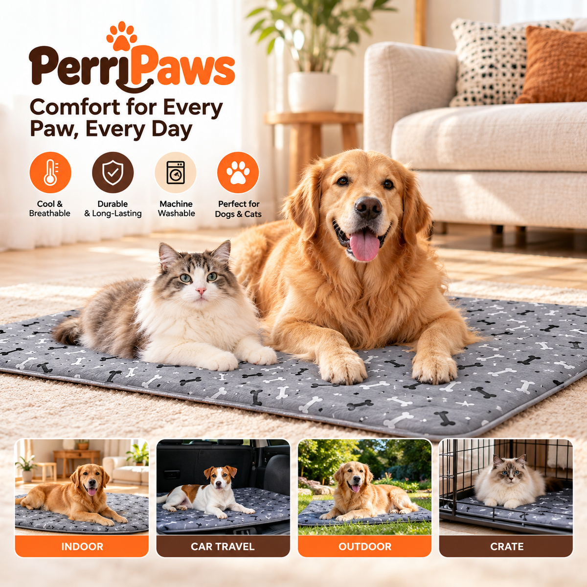 A cavalier spaniel and a cat on the mat, with indoor, car, outdoor and crate photographs