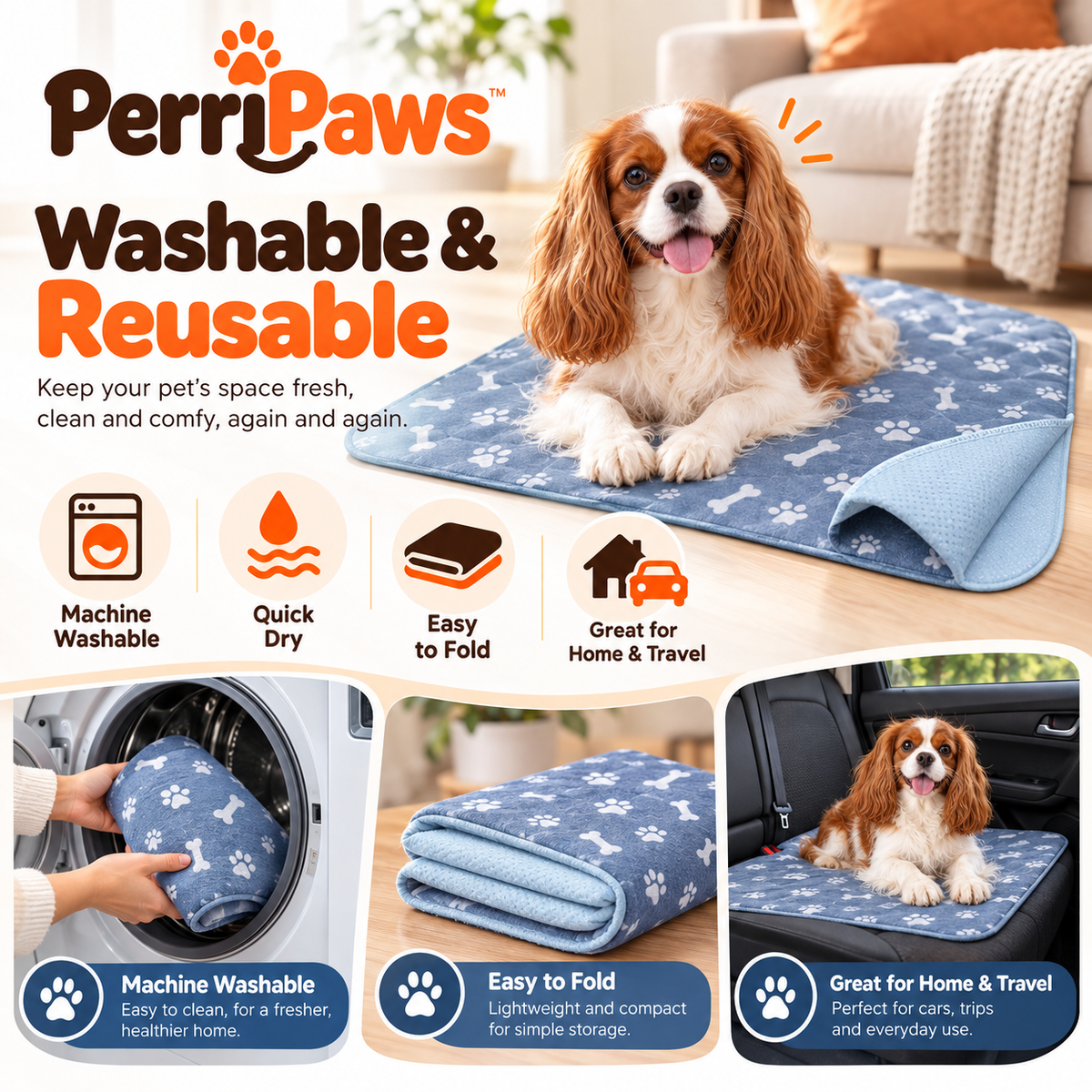 A cavalier spaniel on the blue mat with washing, folding and car-travel photographs