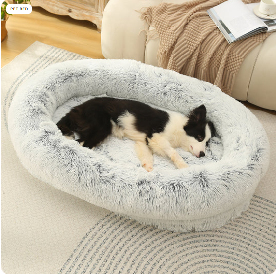 A border collie lying in the grey donut bed beside a sofa