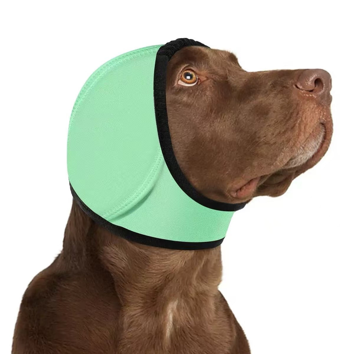 Adjustable Dog Ear Wrap & Head Cover in Light Green