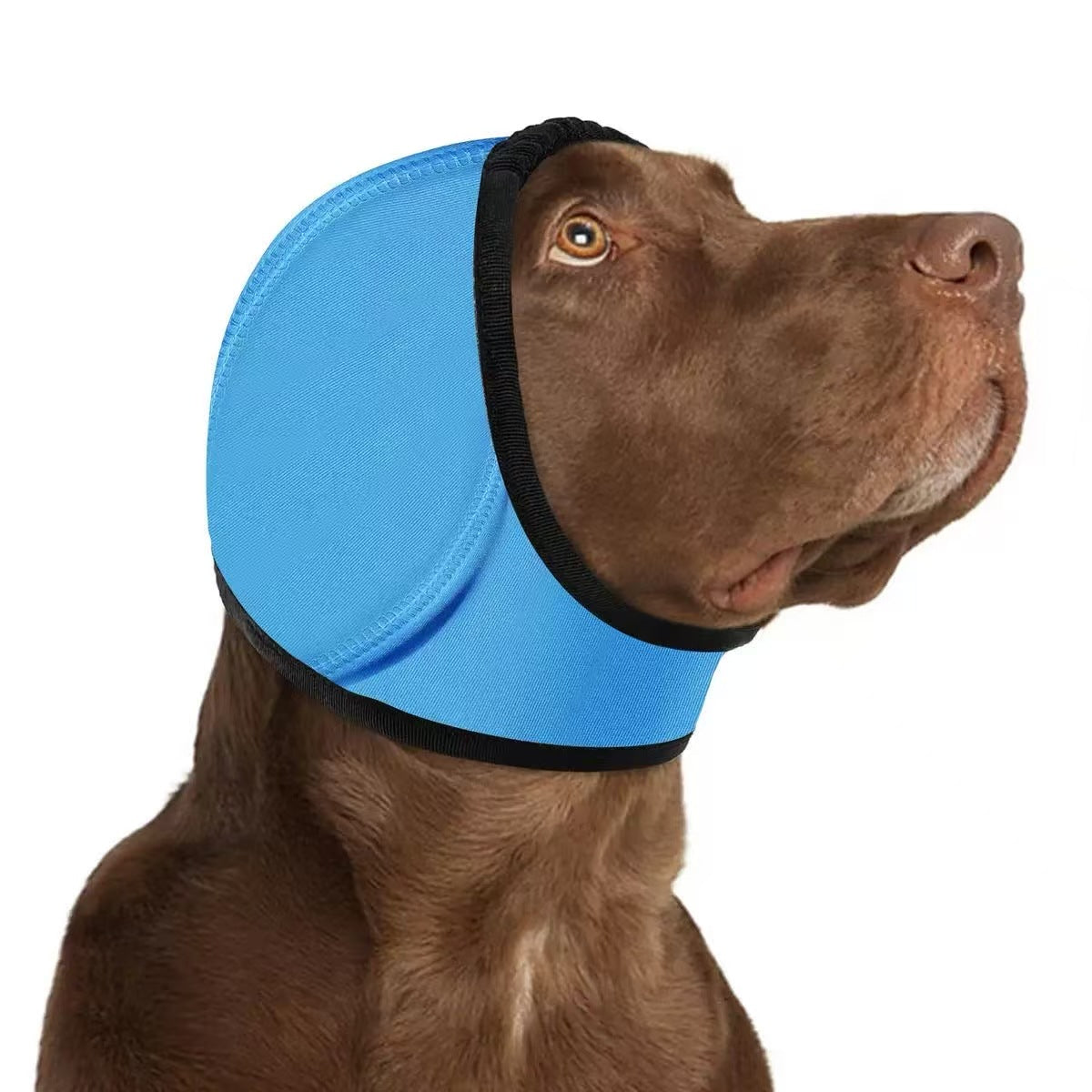 Adjustable Dog Ear Wrap & Head Cover in Lake Blue