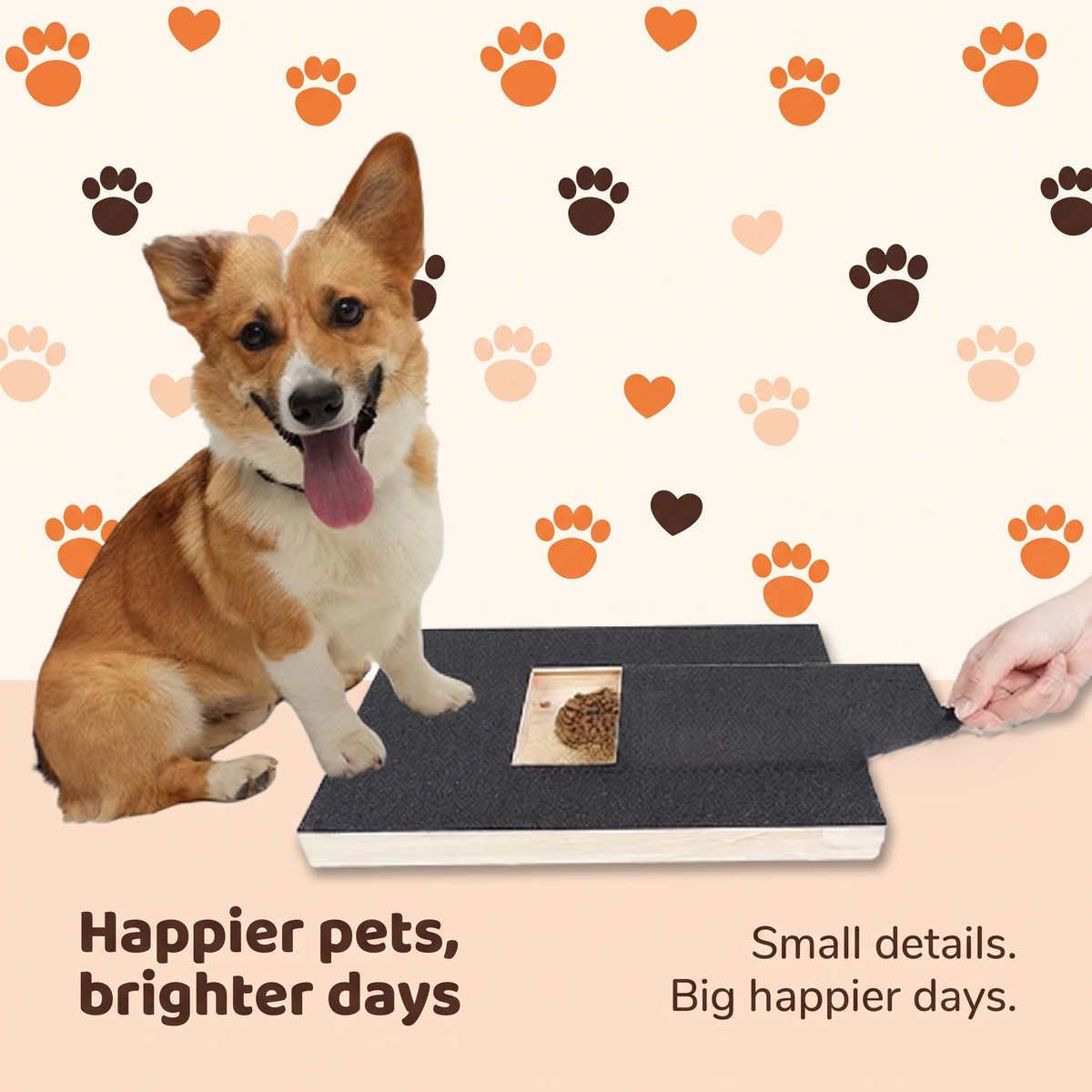A corgi pawing at the nail scratch board while a hand offers a treat