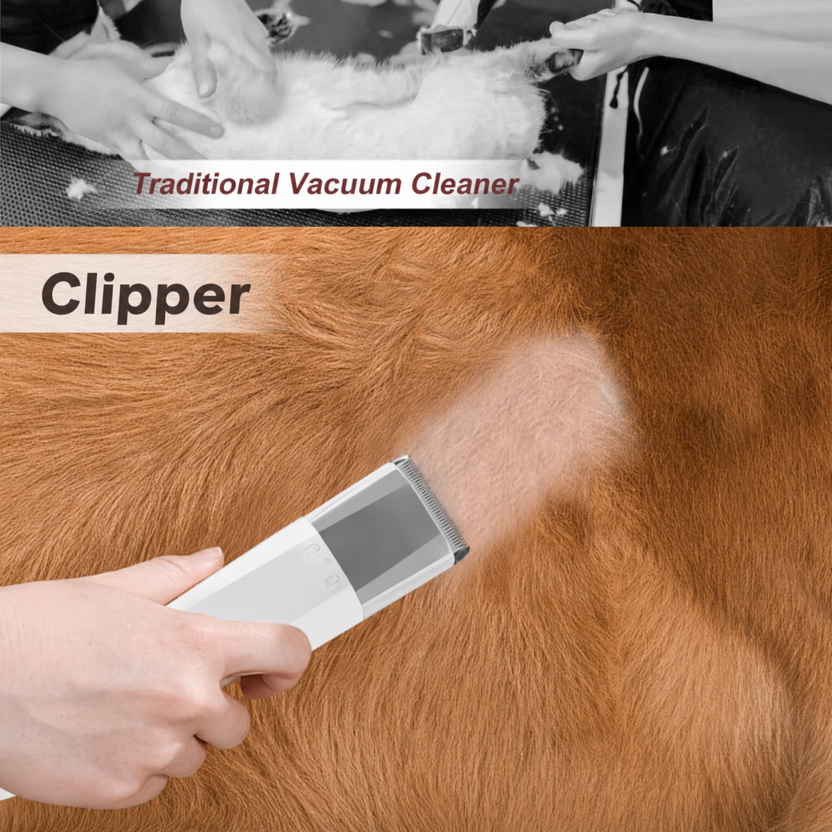 The clipper attachment being used along a golden retriever's back