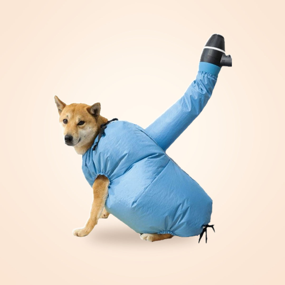 Dog in a blue pet drying bag with dryer hose attachment