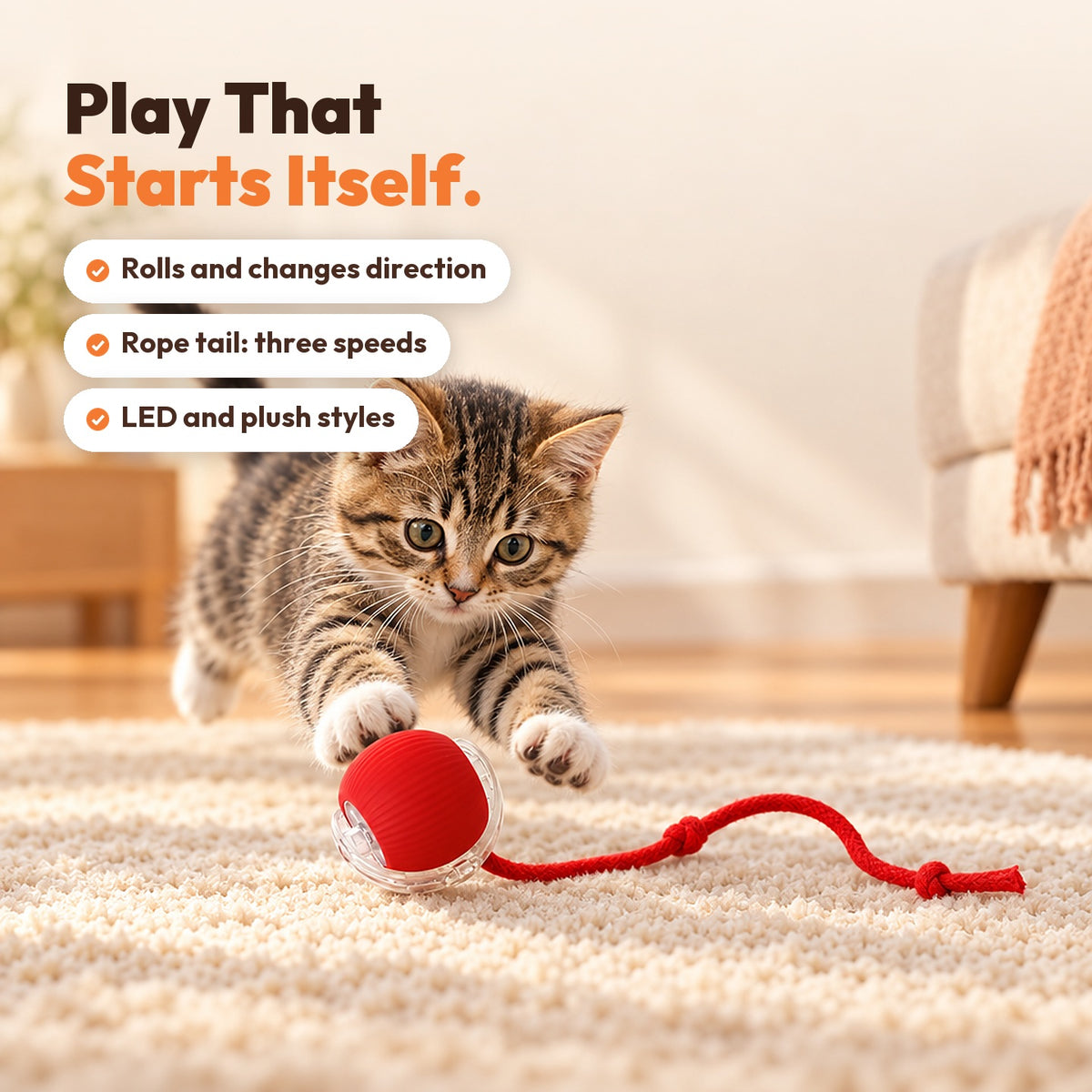 Tabby kitten pouncing on the red self-moving pet ball and its rope tail