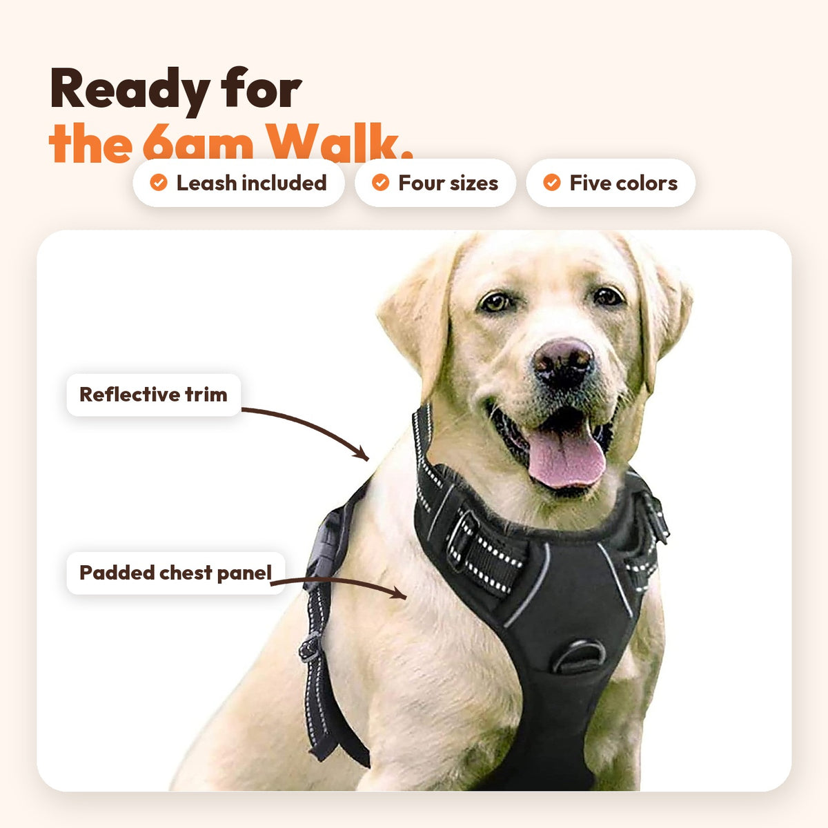 Labrador wearing the black reflective padded PerriPaws dog harness