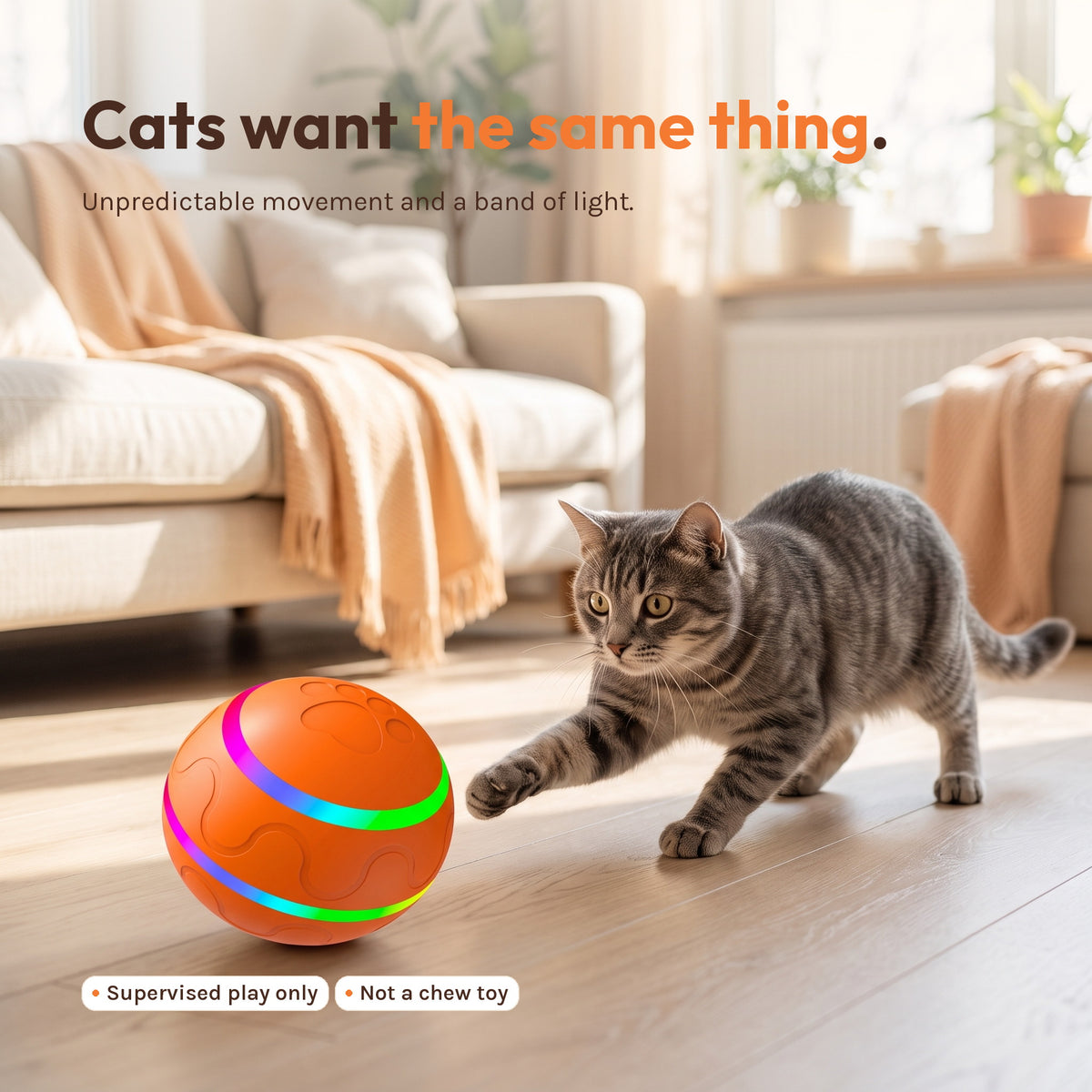 A tabby cat crouched in mid-pounce beside the ball on a wooden floor. Caption: cats want the same thing, unpredictable movement and a band of light.