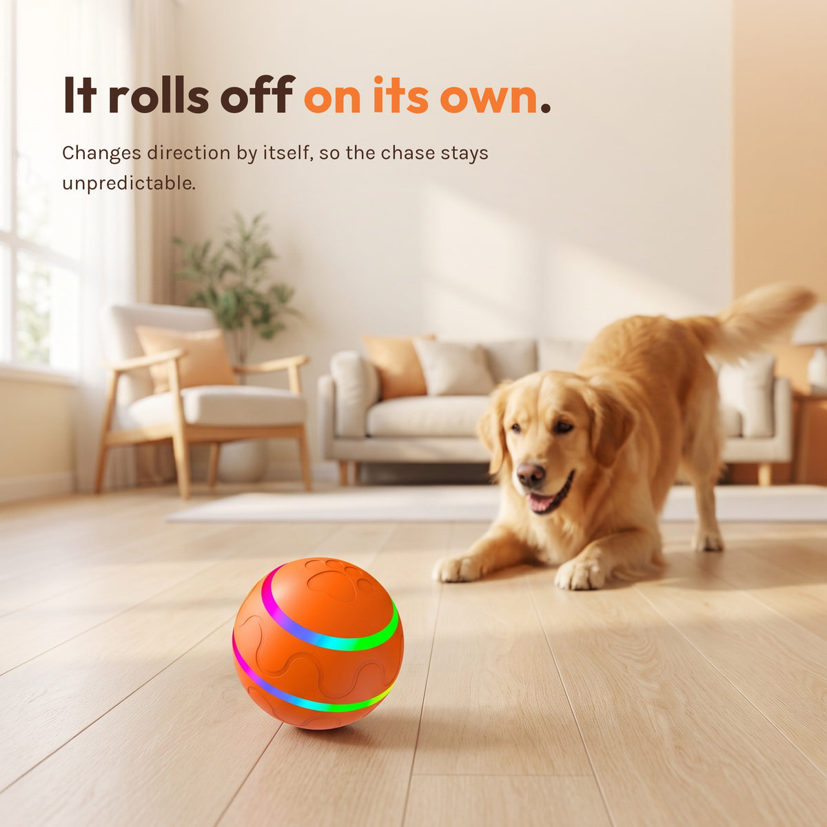The orange self-rolling pet ball rolling across a wooden floor with a dog watching. Caption: it rolls off on its own, changing direction by itself.