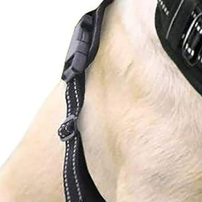 Close-up of the harness side buckle and adjustable strap