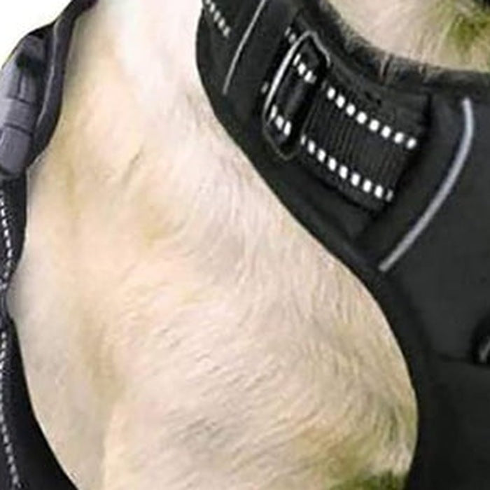 Close-up of the padded chest panel and reflective piping on the harness