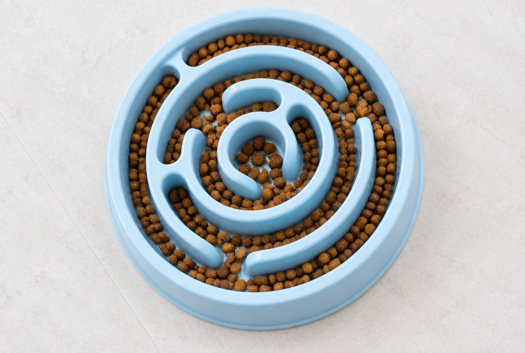Overhead view of kibble caught down in the maze channels