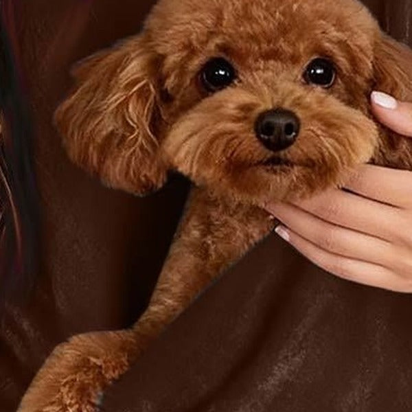 Close-up of the pet pocket with a hand supporting it from below